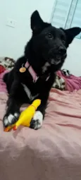Ellie