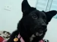Ellie
