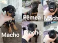 sem nome 
