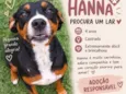 Hanna