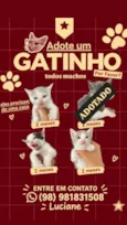 Não tem nomes, são muito filhotes