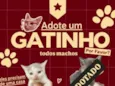 Não tem nomes, são muito filhotes
