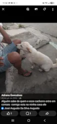 não sei