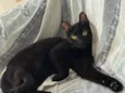 pretinha