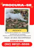 Rocky
