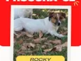 Rocky