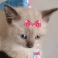 Mia