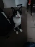 Marcinha