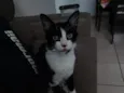 Marcinha