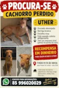 Uther