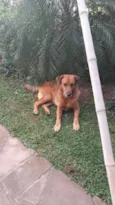Tobby