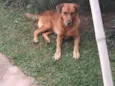 Tobby