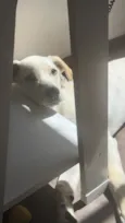 Julie 