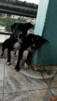 Pepe e nenê 