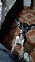 Catarina