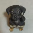 MENININHA 
