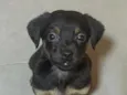 MENININHA 