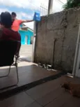 Pérola 