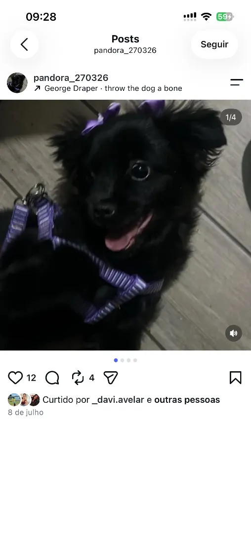 Cachorro raça SRD-ViraLata idade 7 a 11 meses nome Pandora 