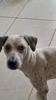Bob