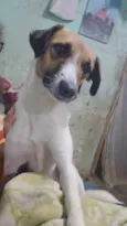 Danubinha 