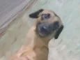 Esmeralda 