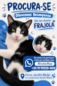 Frajola