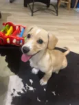 Sheila