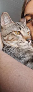 Abu