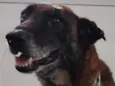 Não sabemos o nome