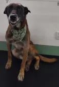 Não sabemos o nome
