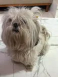 Mel