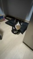 Zoe