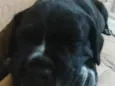 não tem