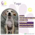 Yago