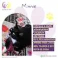 Minnie