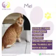 Mel