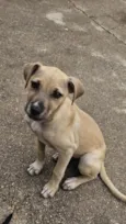 Kira