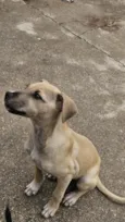 Kira