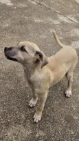 Kira