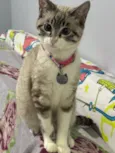 Zoe 