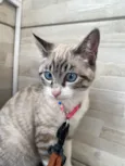 Zoe 