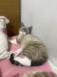 Zoe 