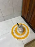 Zoe 