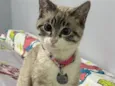 Zoe 