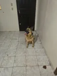 Khora