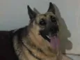 Khora