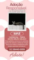 Suflê