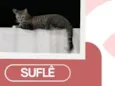Suflê