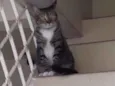 Suflê